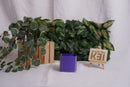 Pennenhouder op maat – 3D geprint en personaliseerbaar