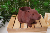 Capybara Mini Plantenpot